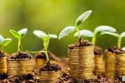 20万二手车首付6万月供多少