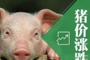 广东猪肉今日价格最新消息
