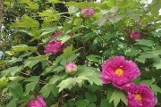 鹰潭市余江县天气预报