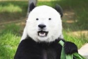近期在家无聊的你，有哪些综艺可以安利一下