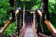 如果我想读金融，是选择央财还是南开好一点
