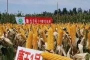 临汾思域二手车报价多少