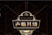 焉栩嘉主要成就