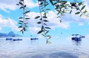 云南抚仙湖11月份天气如何