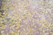 九江天气预报7天查询