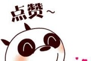 教授采访综艺节目