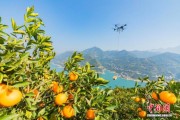 三峡库区“云端飞手”逐梦沃野