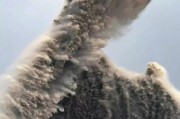 滋贺县天气预报