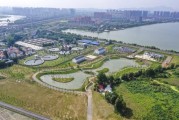 从农村治污到流域治理：北控水务精细化运营打造湿地修复新标杆