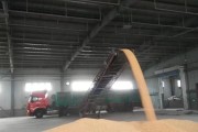 山东天气今日玉米价格走势图