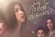 女主播电台故事短篇小说
